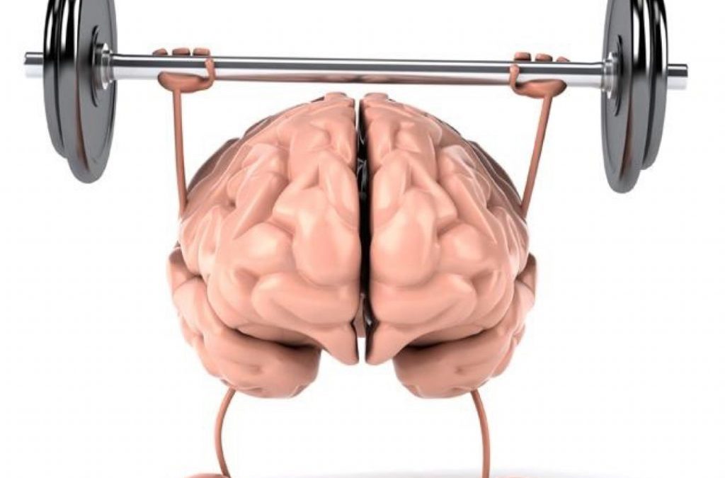 TRAIN the BRAIN!